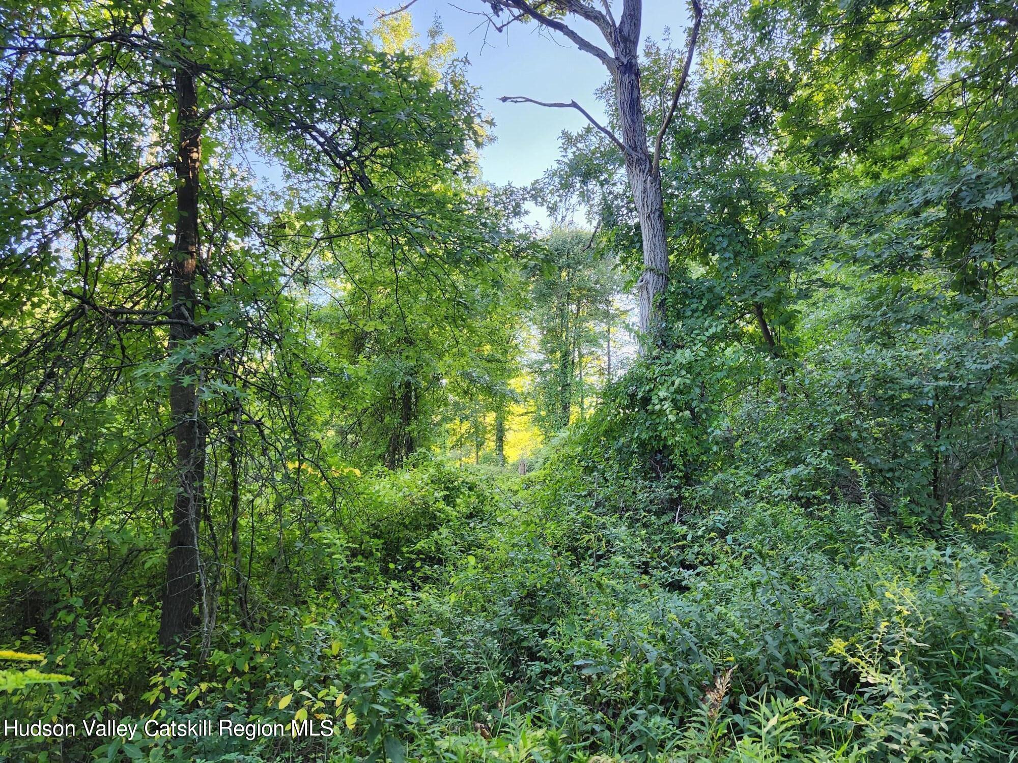 188 Old Stage Road, Saugerties, Ohio image 3