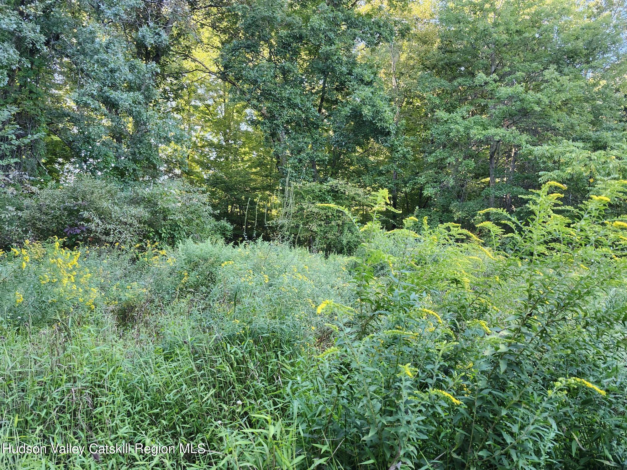 188 Old Stage Road, Saugerties, Ohio image 7