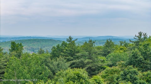 Vacant Land For Sale - TBD Skinner Road<br/> Athens, NY 12015