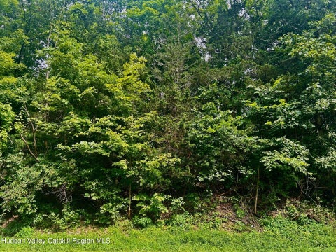 Vacant Land For Sale - 980 N Quaker Lane<br/> Staatsburg, NY 12580