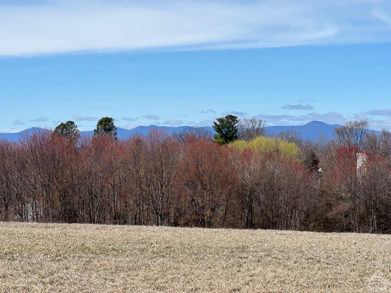 Church Road, Livingston, New York image 6