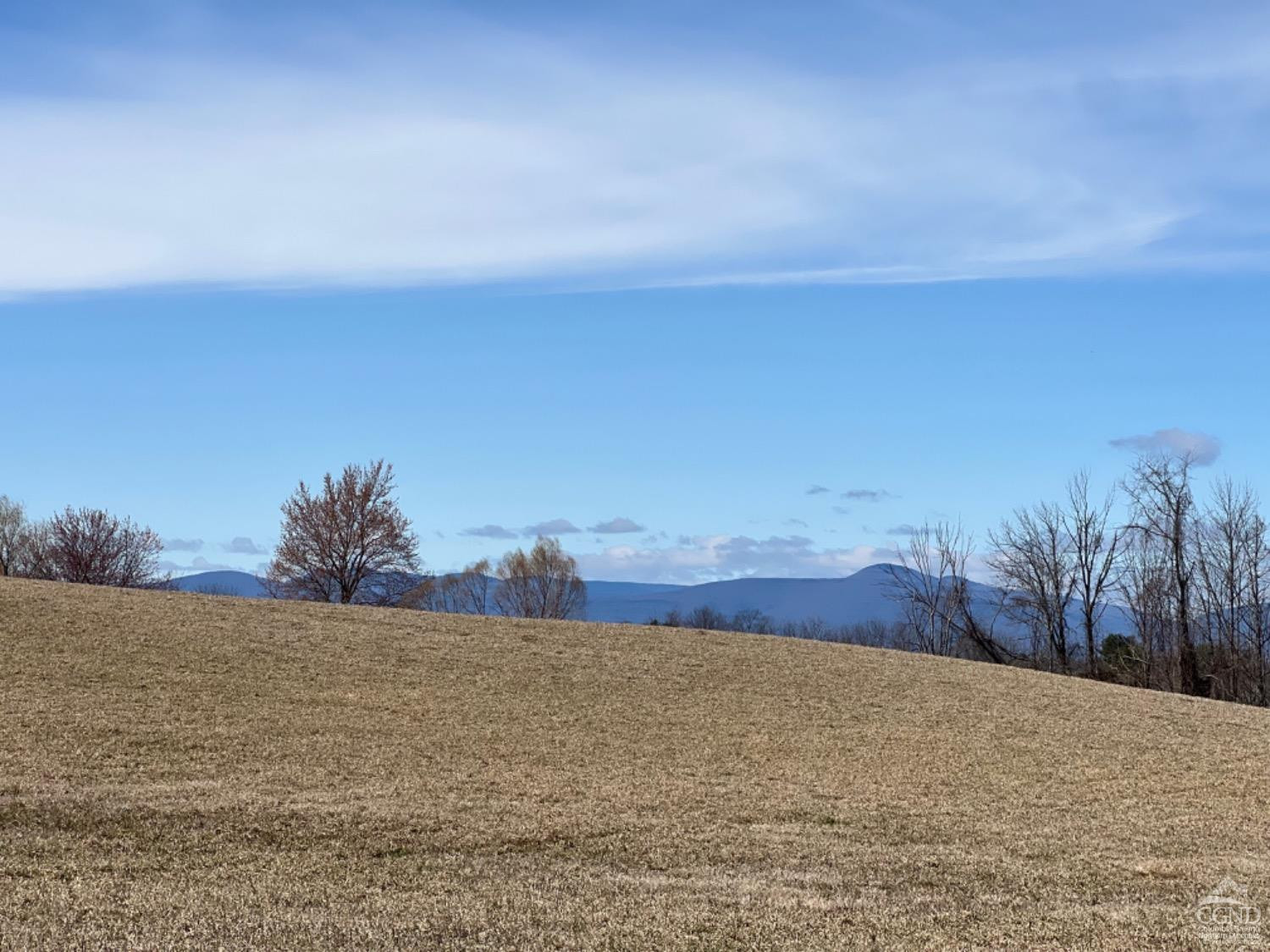 Church Road, Livingston, New York image 14