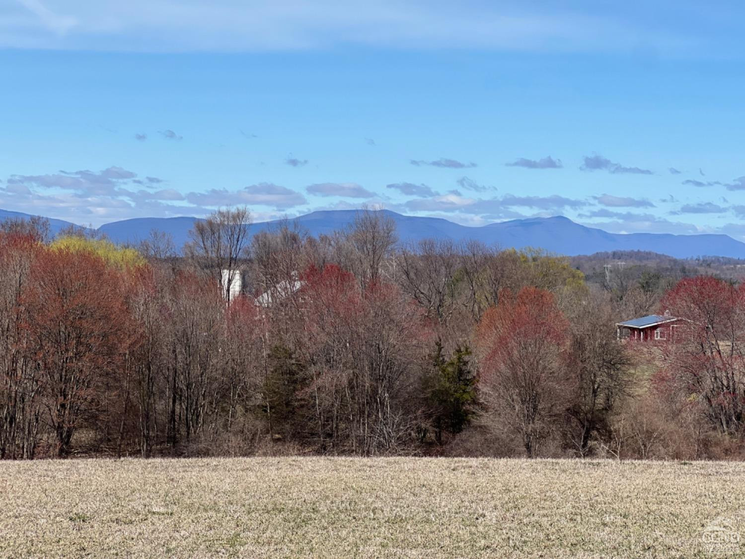 Church Road, Livingston, New York image 5