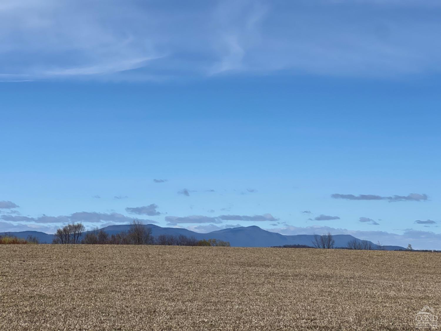 Church Road, Livingston, New York image 15
