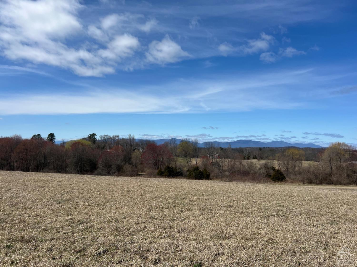 Church Road, Livingston, New York image 7