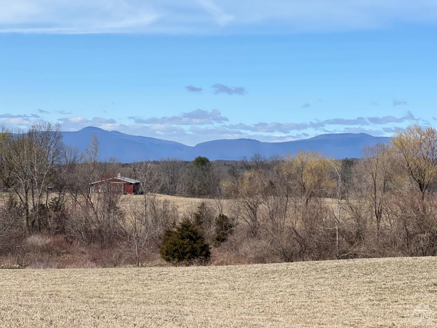 Church Road, Livingston, New York image 8