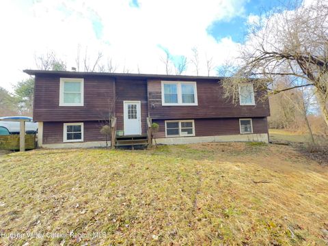 Photo of 809 Sleepy Hollow Road, Athens, NY 12015 (MLS # 20260987)