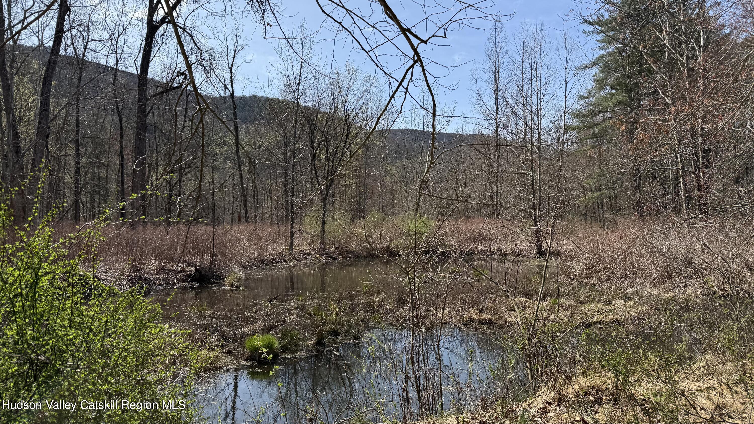 Ellenville, New York 12428, United States, ,Land,Pending,115598