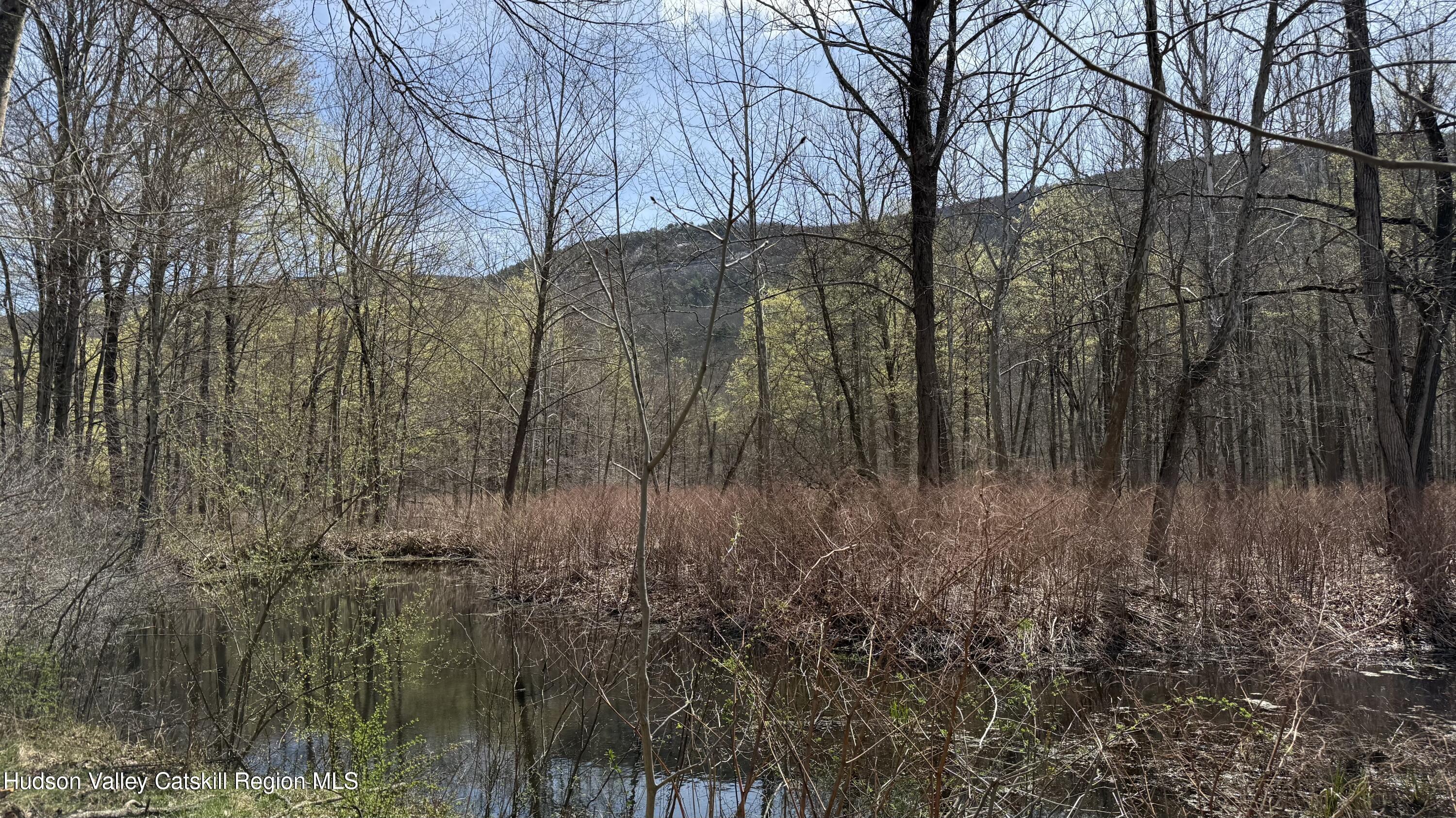 Ellenville, New York 12428, United States, ,Land,Pending,115598