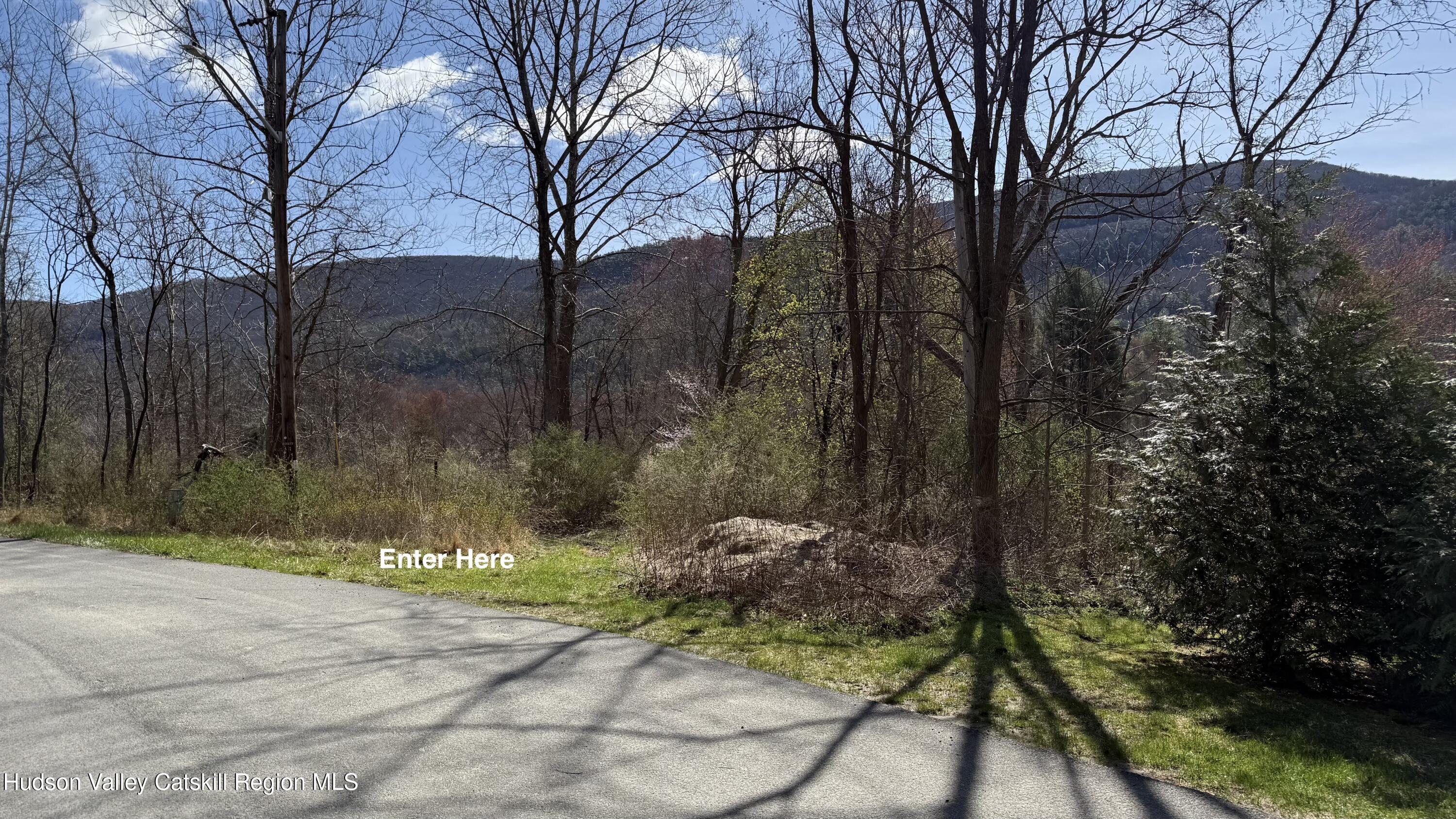 Ellenville, New York 12428, United States, ,Land,Pending,115598