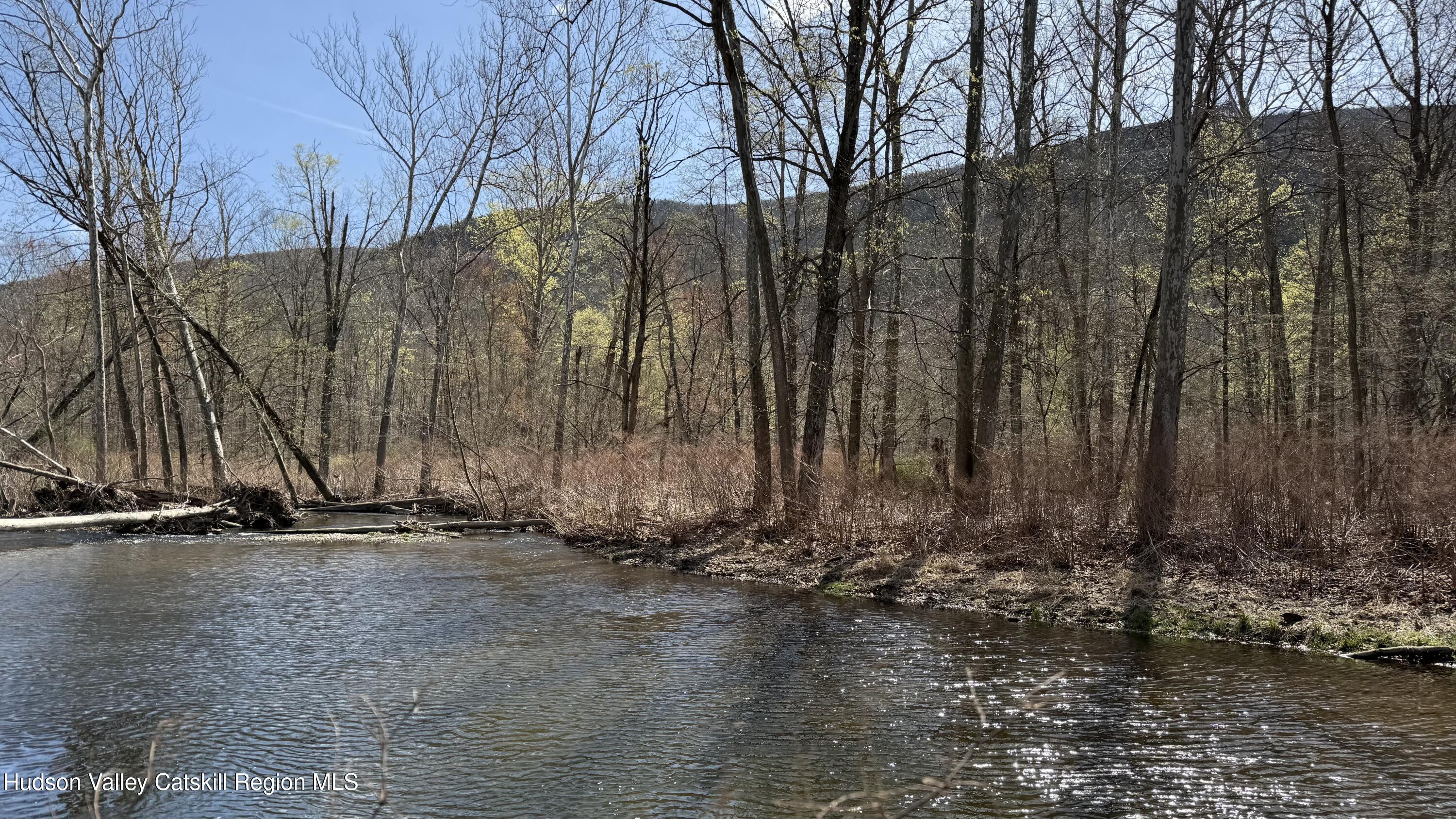 Ellenville, New York 12428, United States, ,Land,Pending,115598