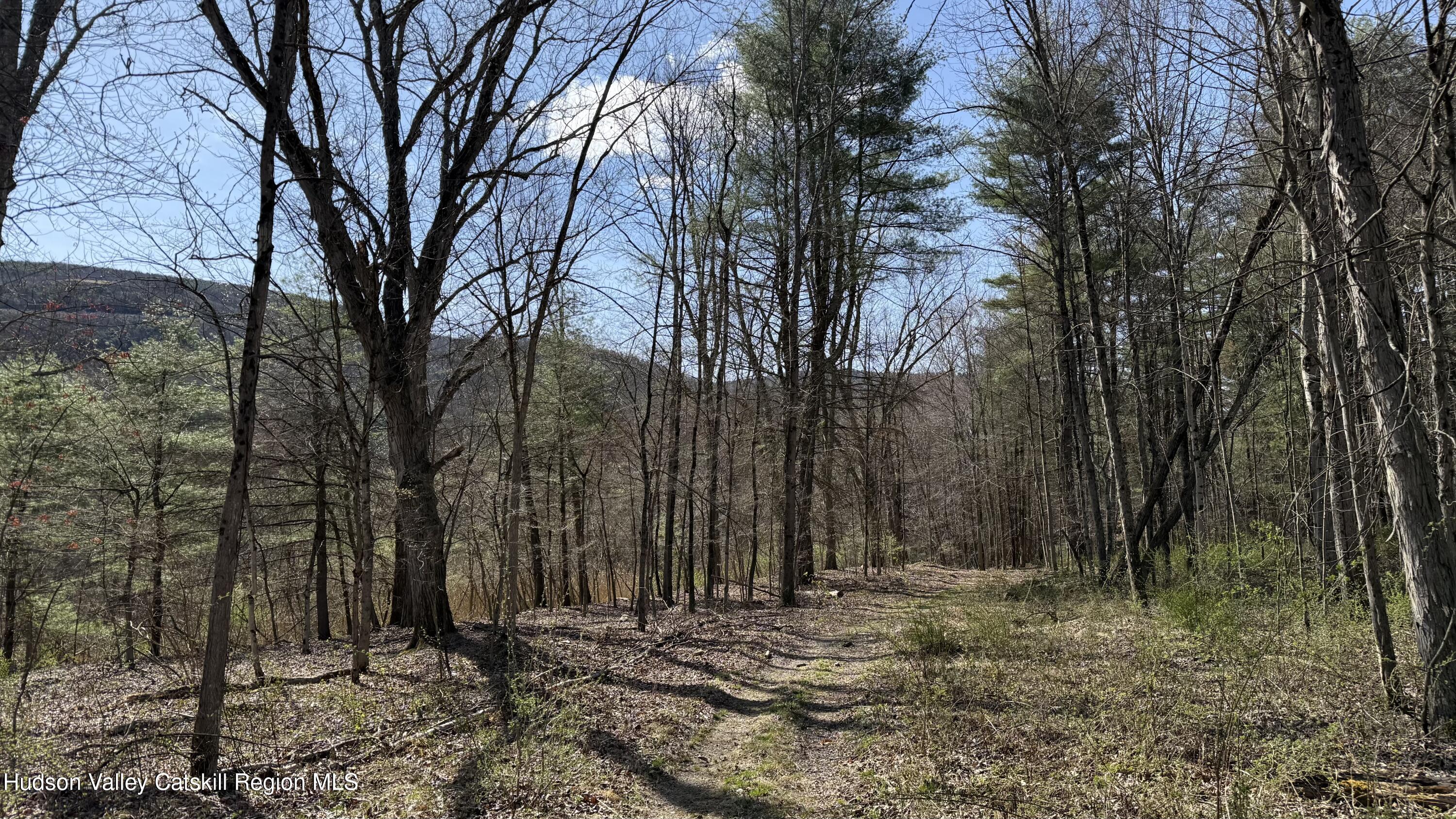 Ellenville, New York 12428, United States, ,Land,Pending,115598