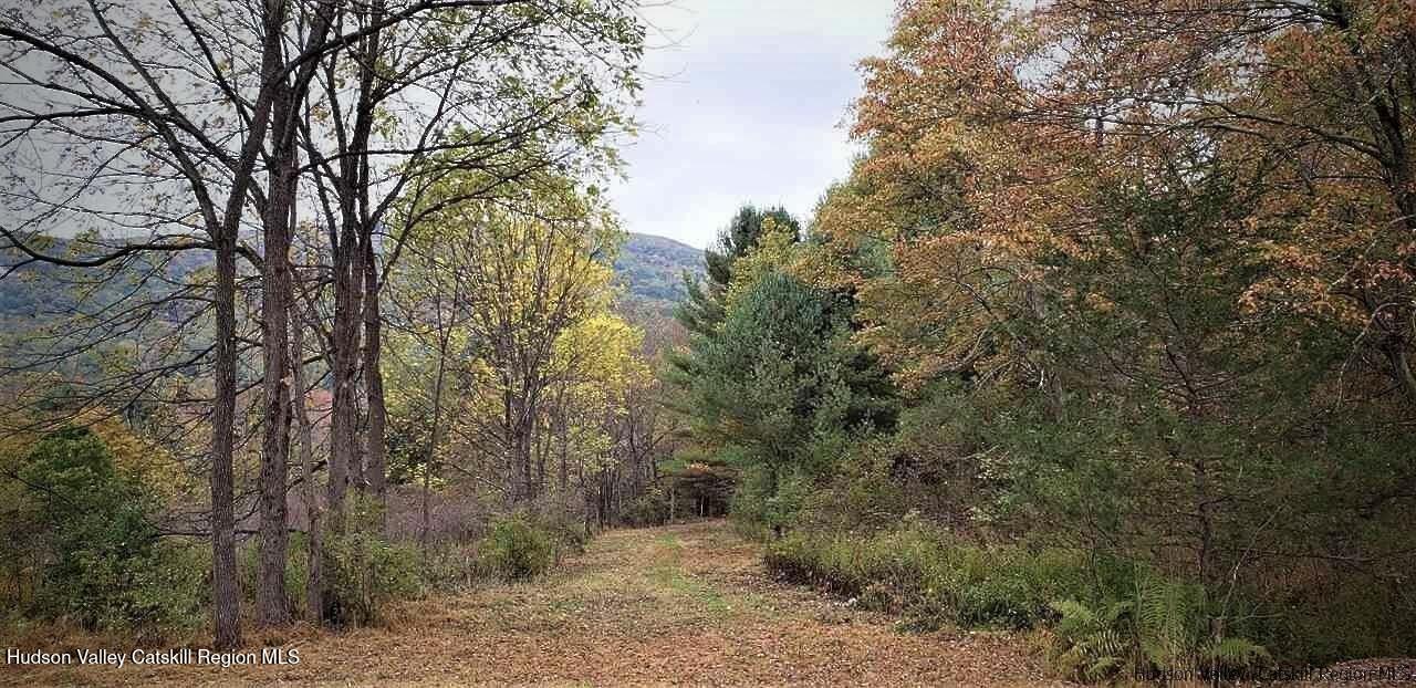 Ellenville, New York 12428, United States, ,Land,Pending,115598