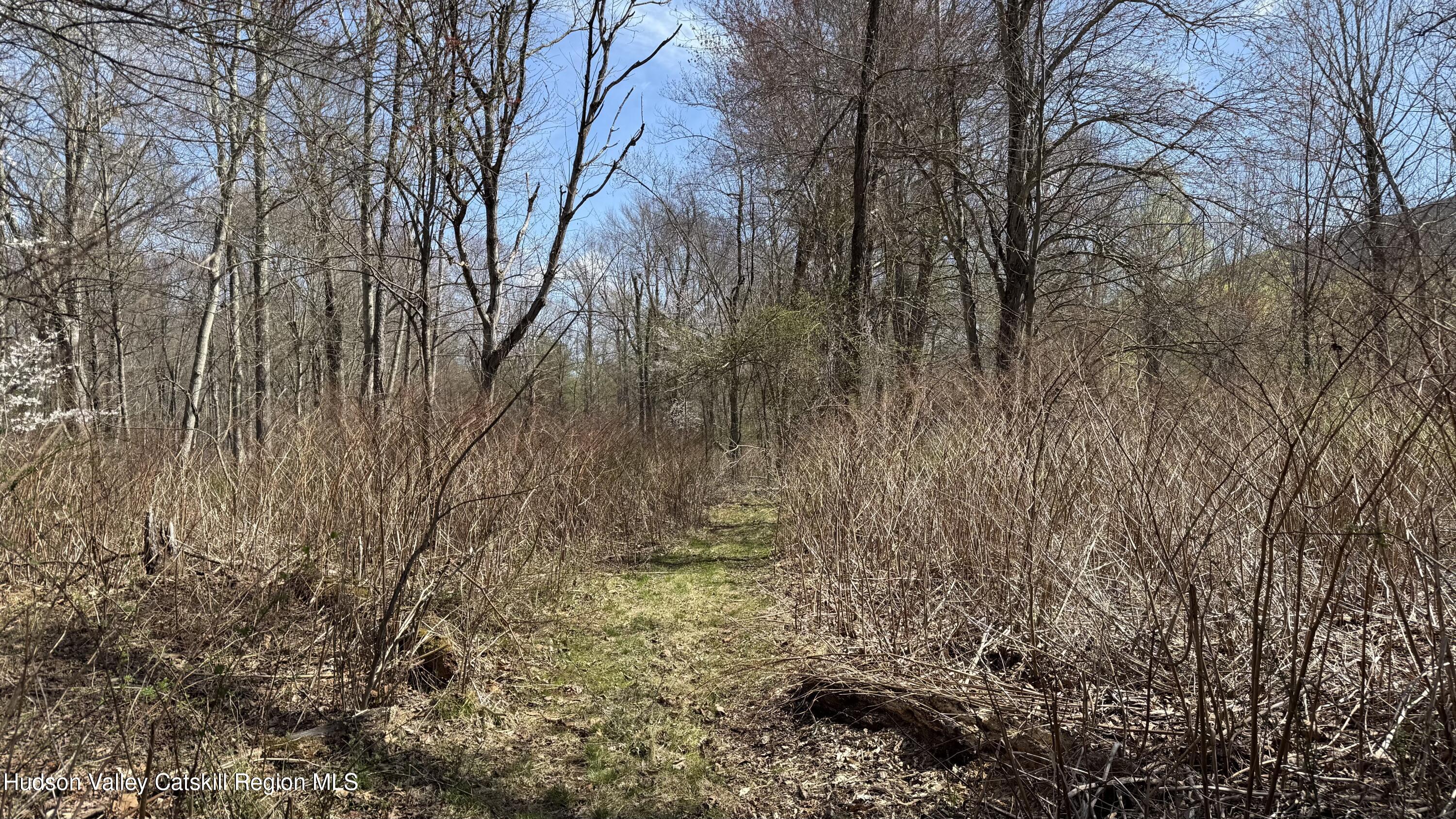 Ellenville, New York 12428, United States, ,Land,Pending,115598