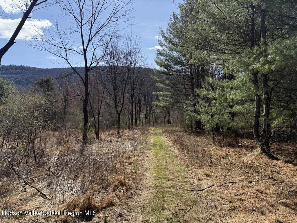 Ellenville, New York 12428, United States, ,Land,Pending,115598