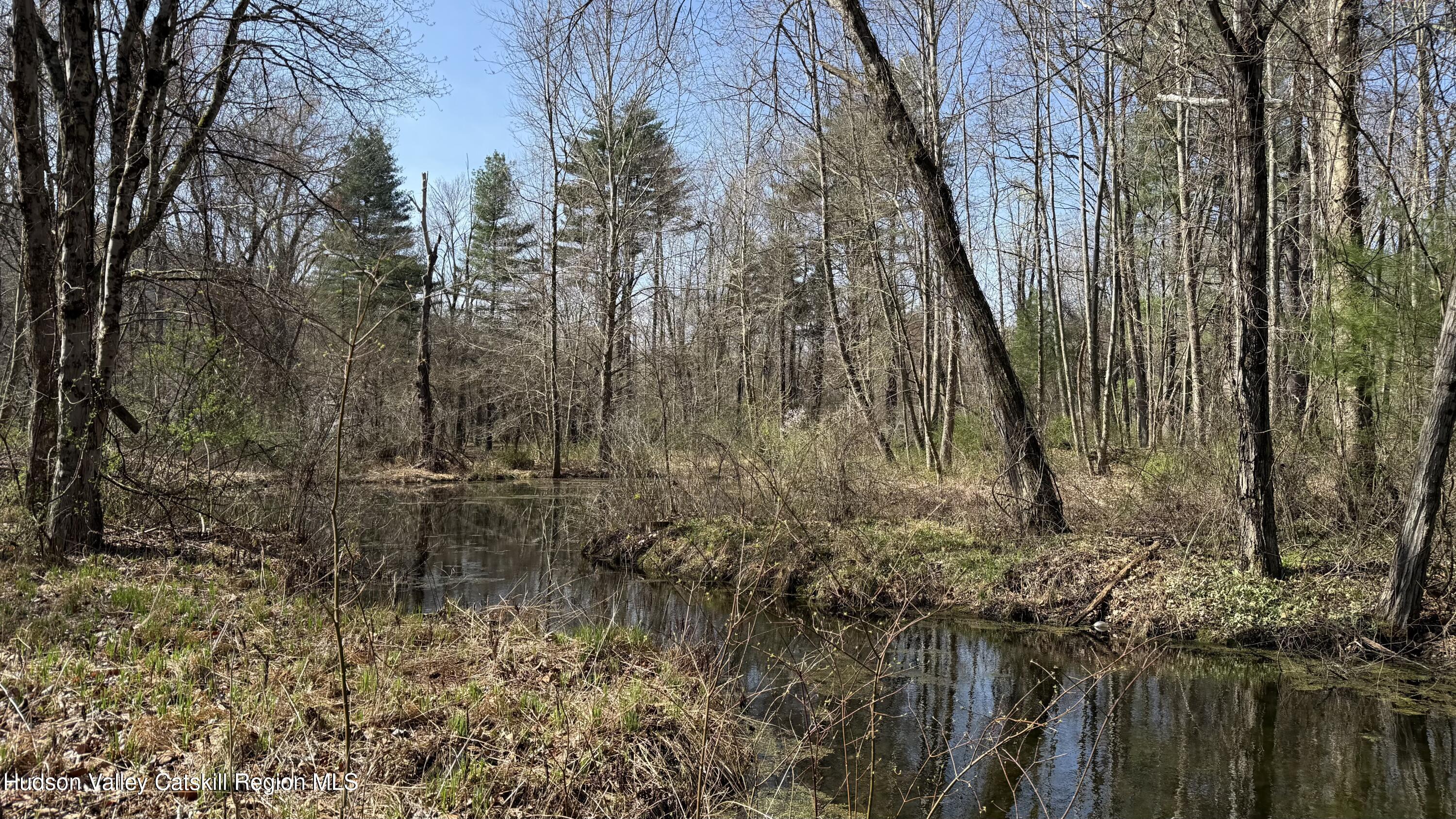 Ellenville, New York 12428, United States, ,Land,Pending,115598