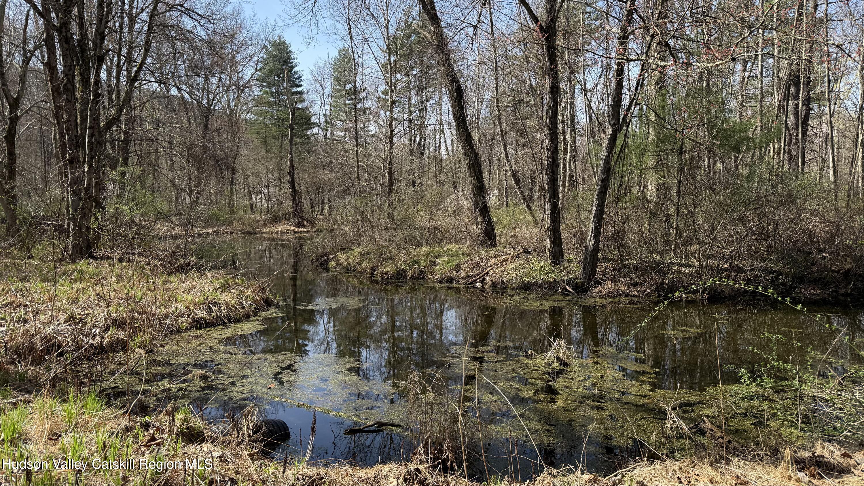 Ellenville, New York 12428, United States, ,Land,Pending,115598