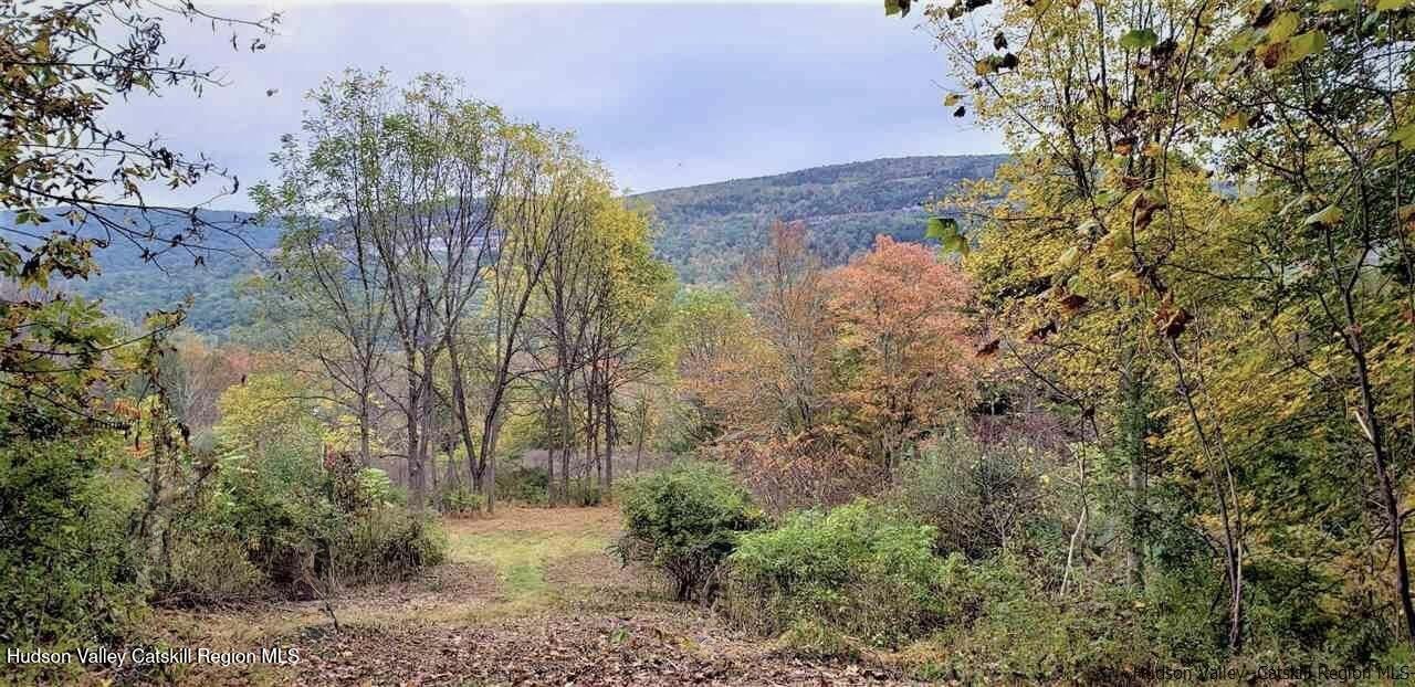 Ellenville, New York 12428, United States, ,Land,Pending,115598