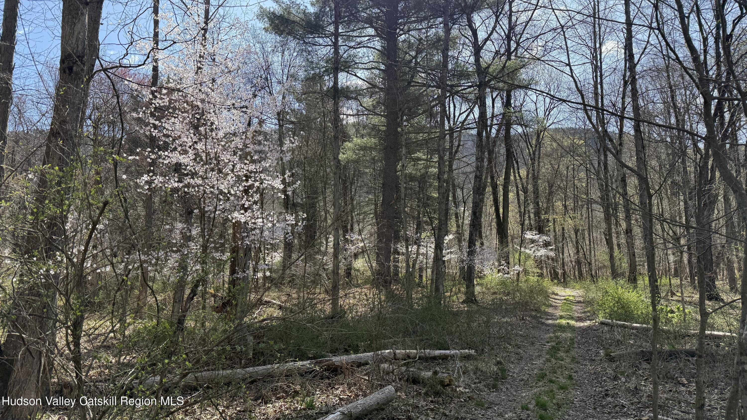 Ellenville, New York 12428, United States, ,Land,Pending,115598