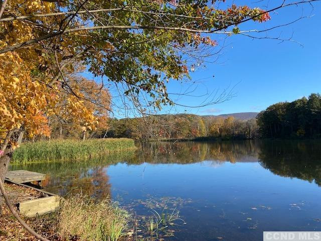 1258 NE Lakeview Road, Copake, Texas image 2