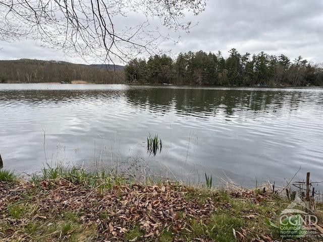 1258 NE Lakeview Road, Copake, Texas image 5