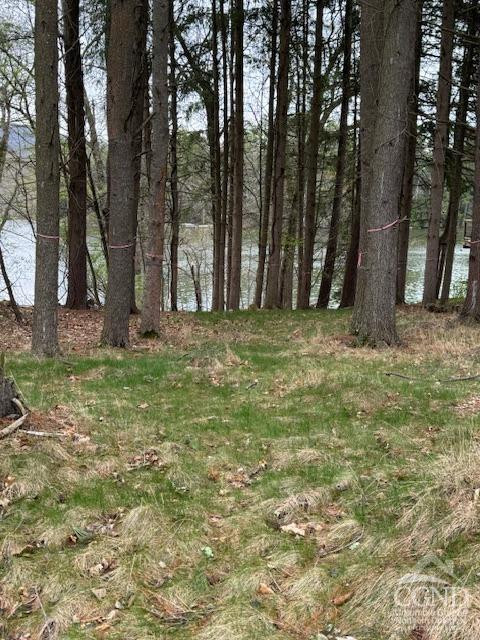 1258 NE Lakeview Road, Copake, Texas image 7