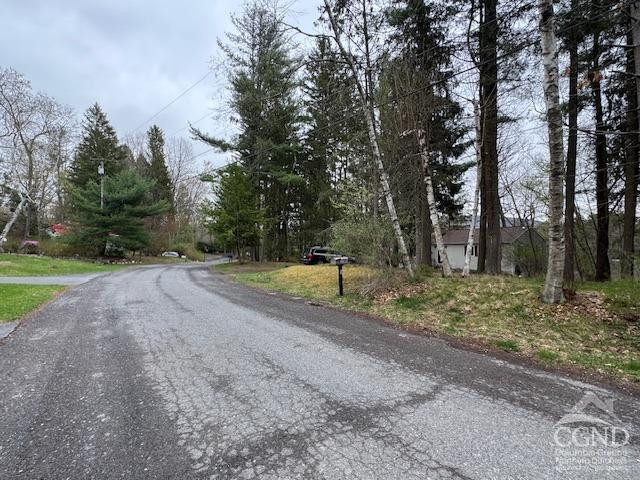 1258 NE Lakeview Road, Copake, Texas image 13