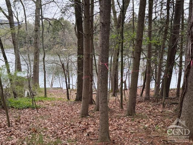 1258 NE Lakeview Road, Copake, Texas image 8