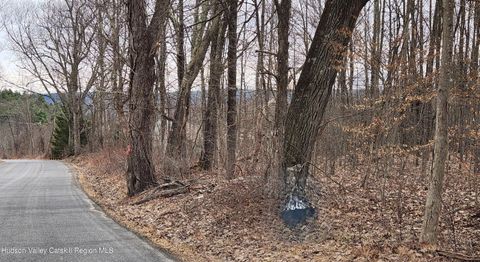 Vacant Land For Sale - TBD Irish Cape Road<br/> Ulster County, Ellenville, NY 12428