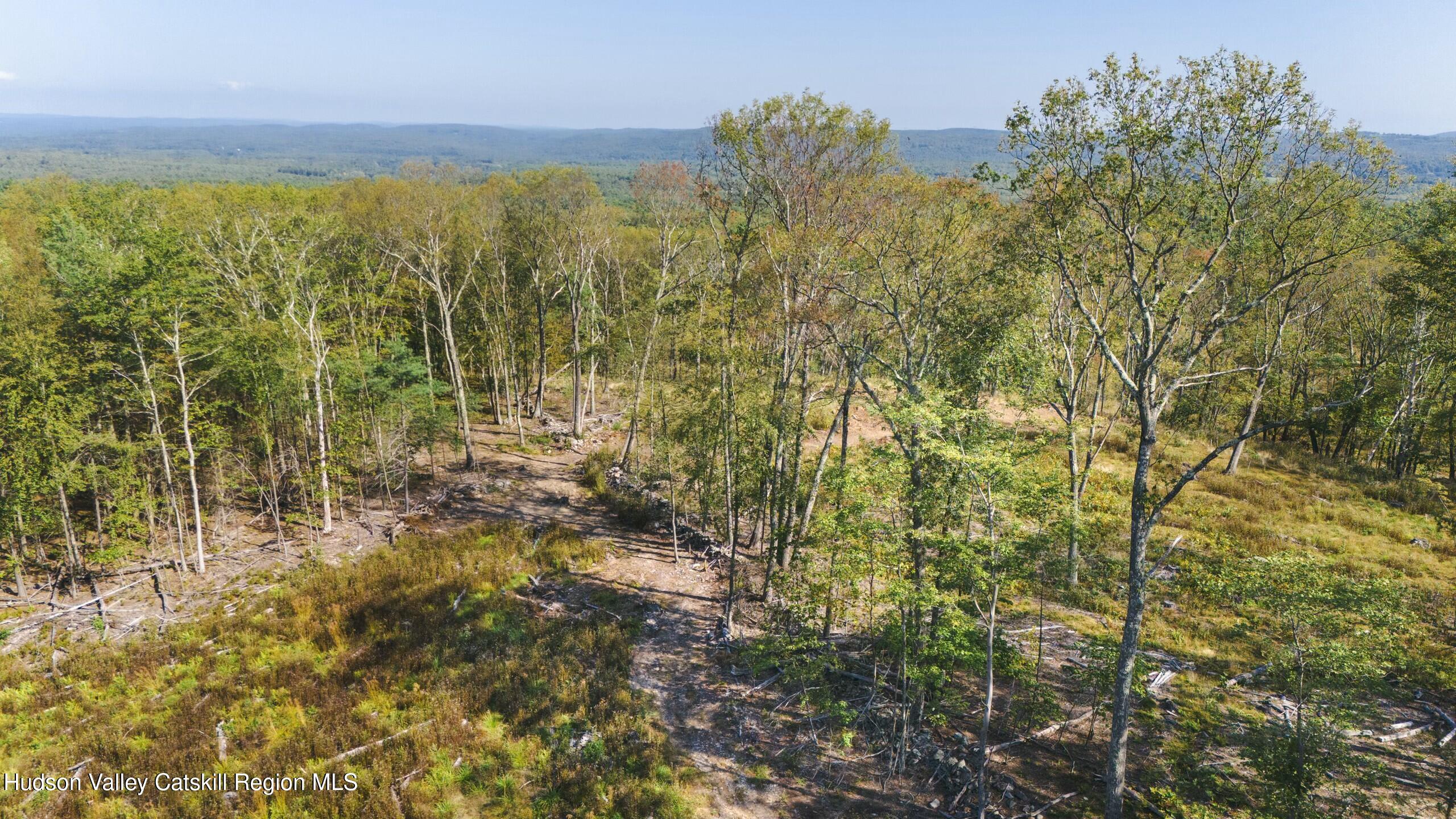 Cairo, New York 12413, United States, ,Land,Active,80061