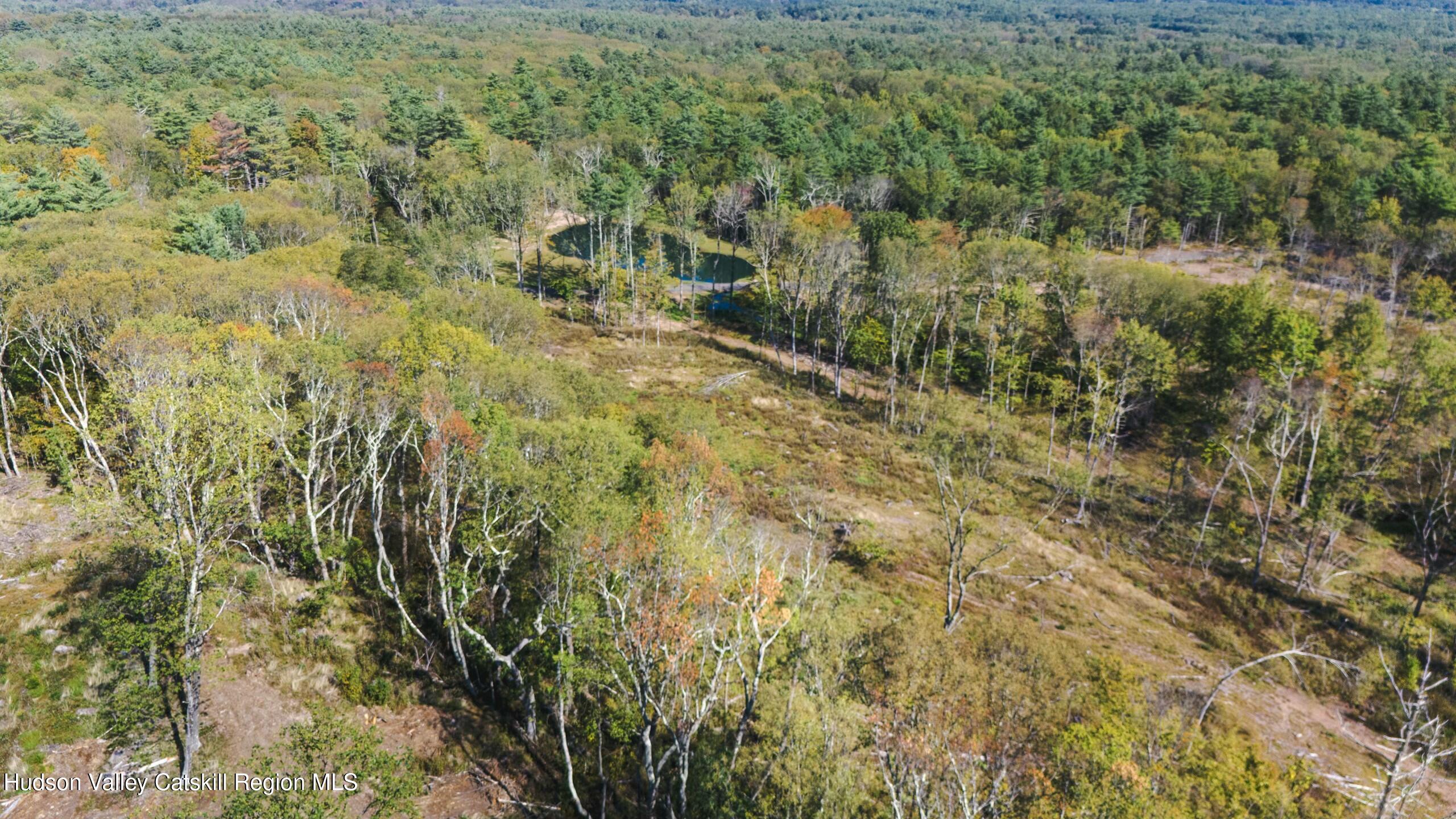 Cairo, New York 12413, United States, ,Land,Active,80061