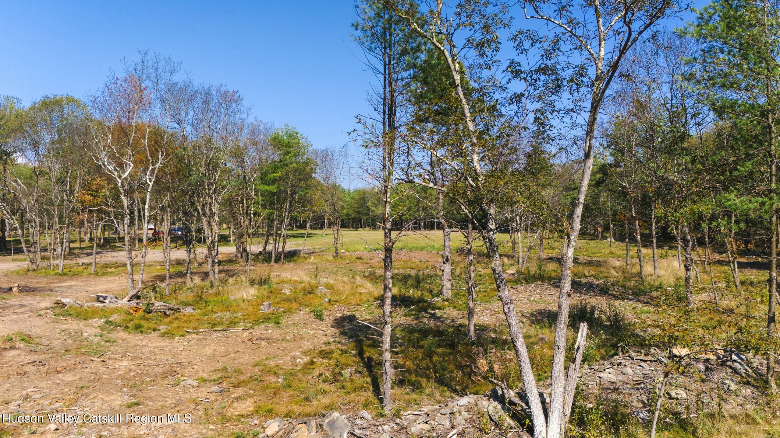 Cairo, New York 12413, United States, ,Land,Active,80061