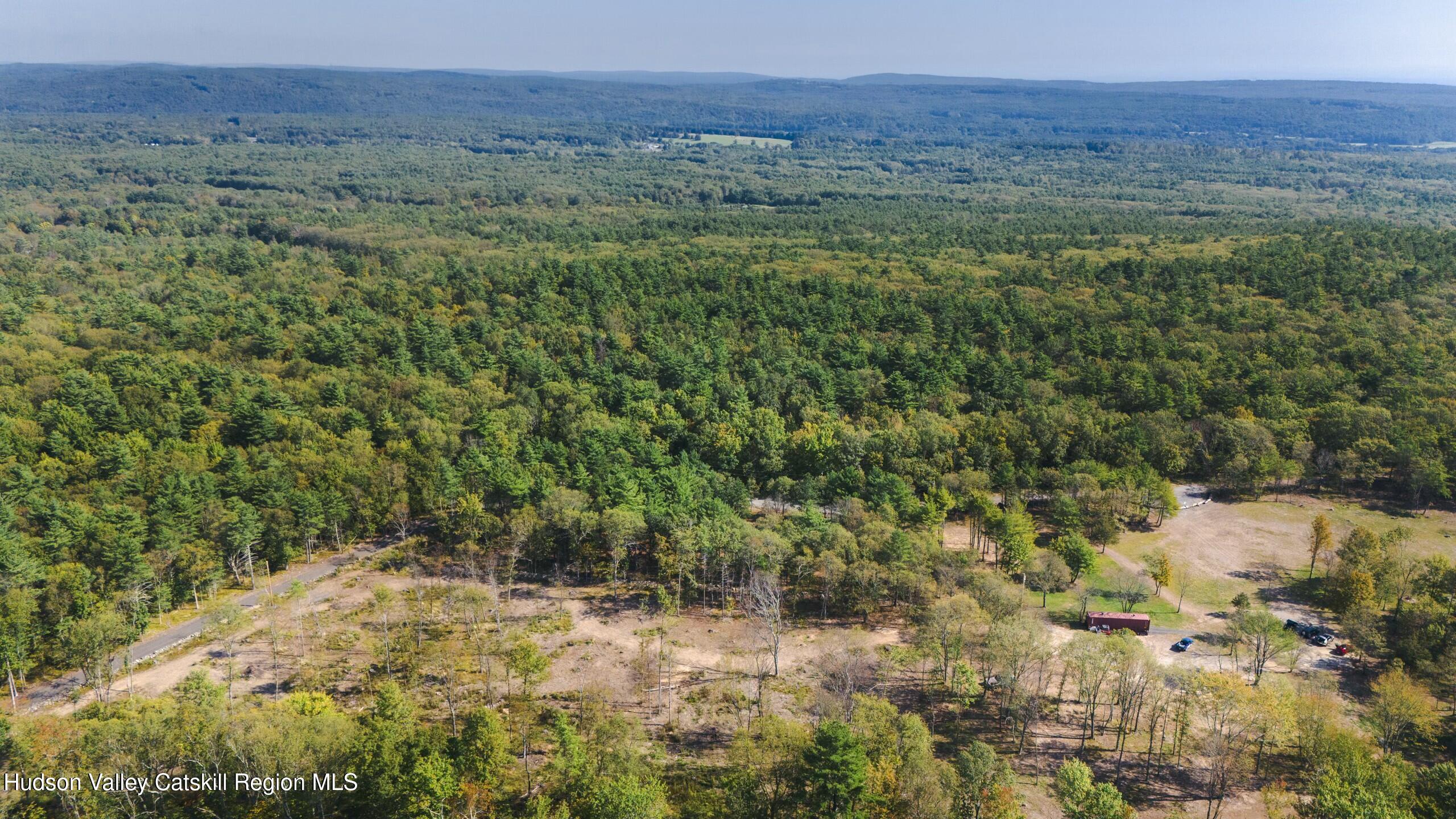 Cairo, New York 12413, United States, ,Land,Active,80061