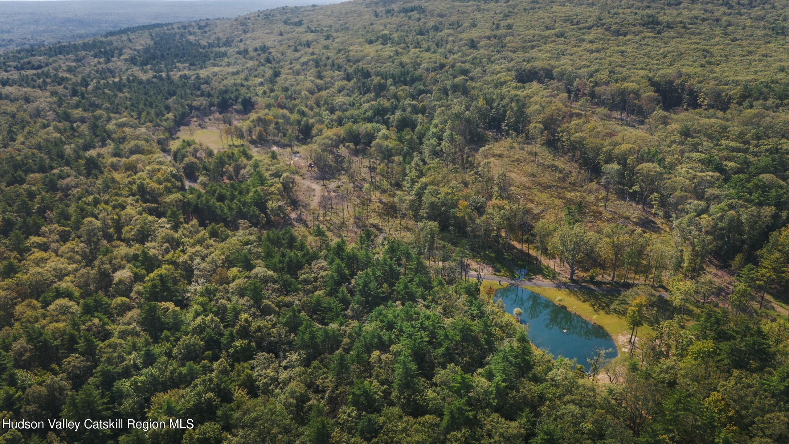 Cairo, New York 12413, United States, ,Land,Active,80061