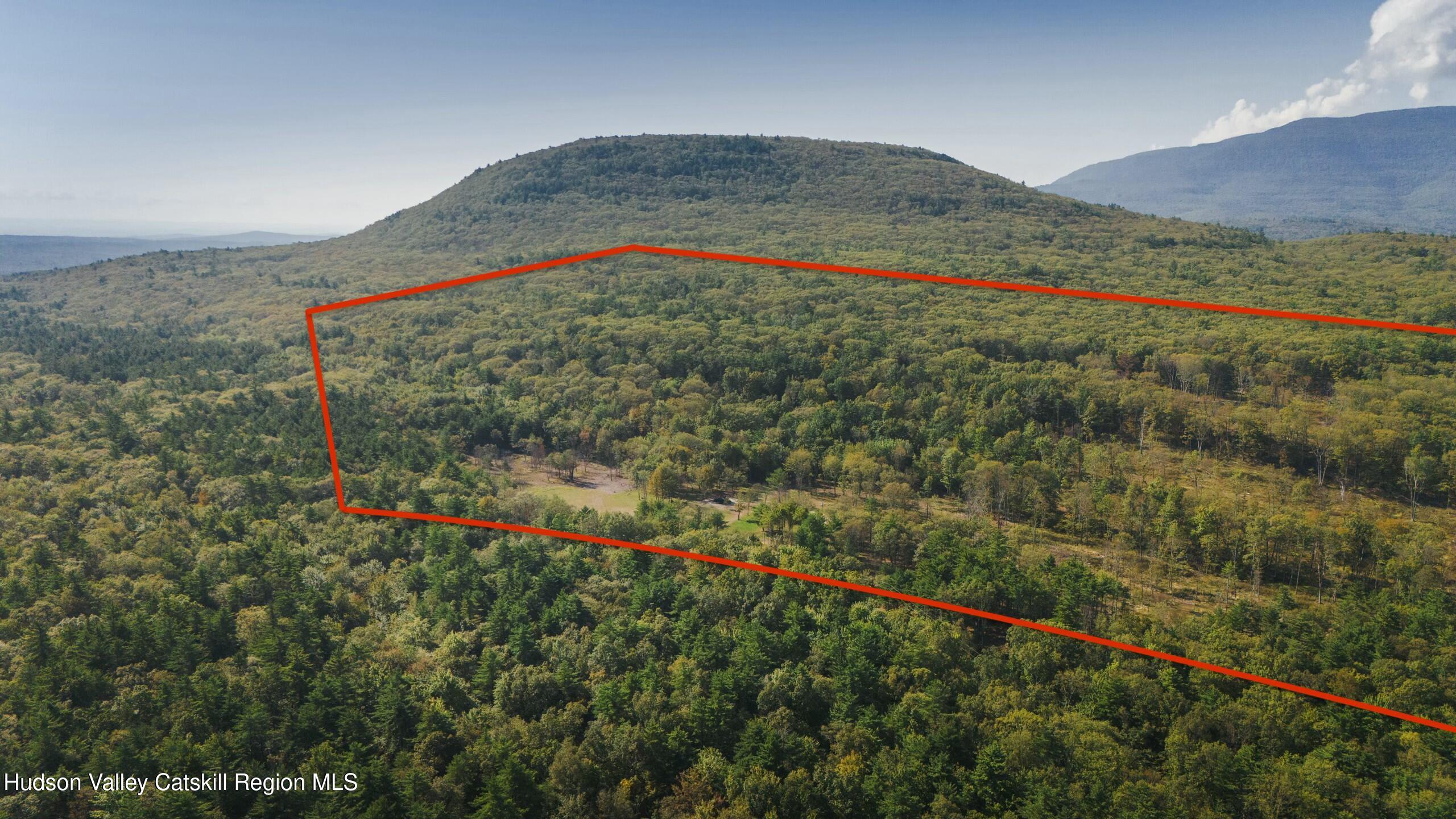 Cairo, New York 12413, United States, ,Land,Active,80061