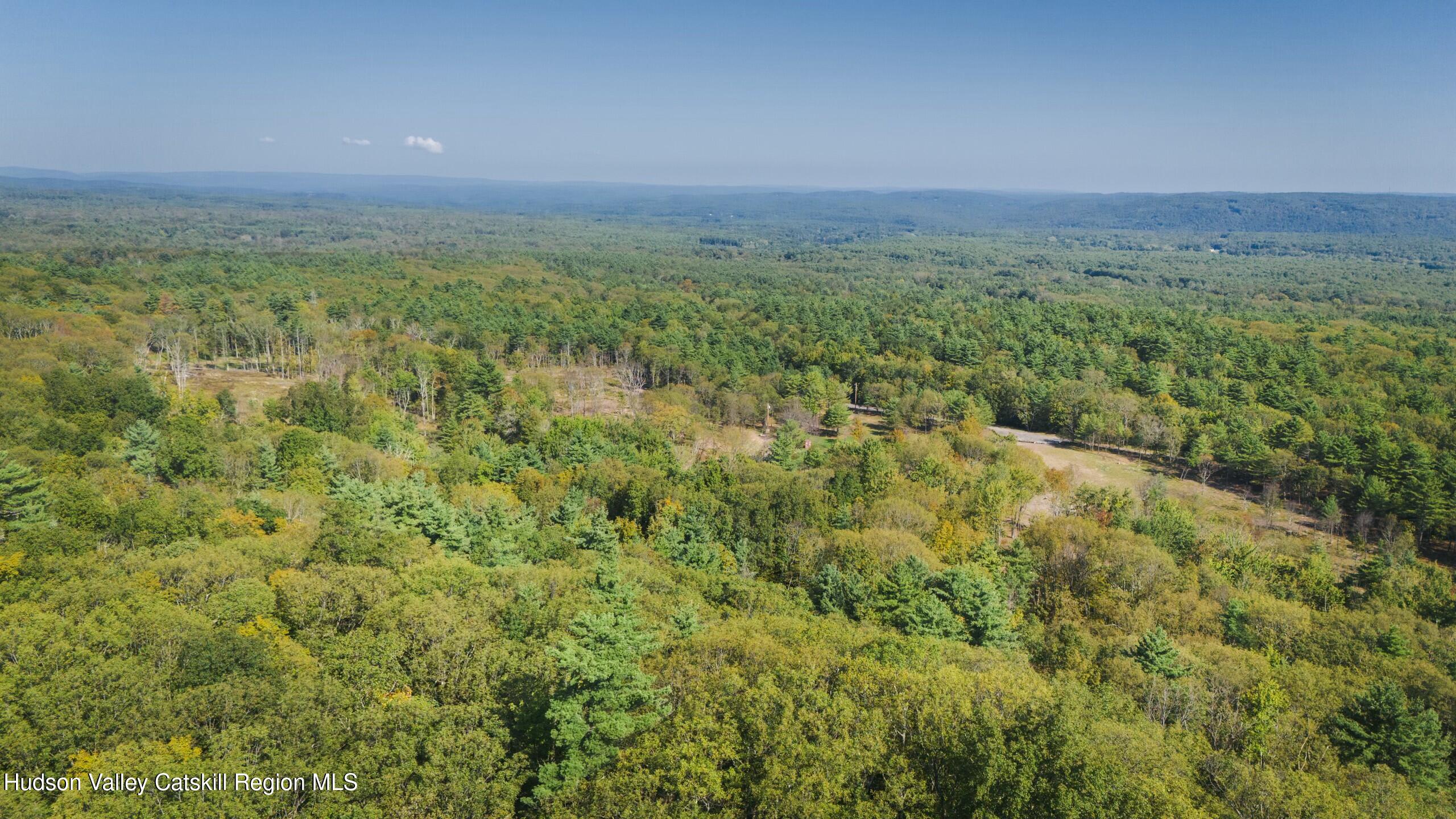 Cairo, New York 12413, United States, ,Land,Active,80061