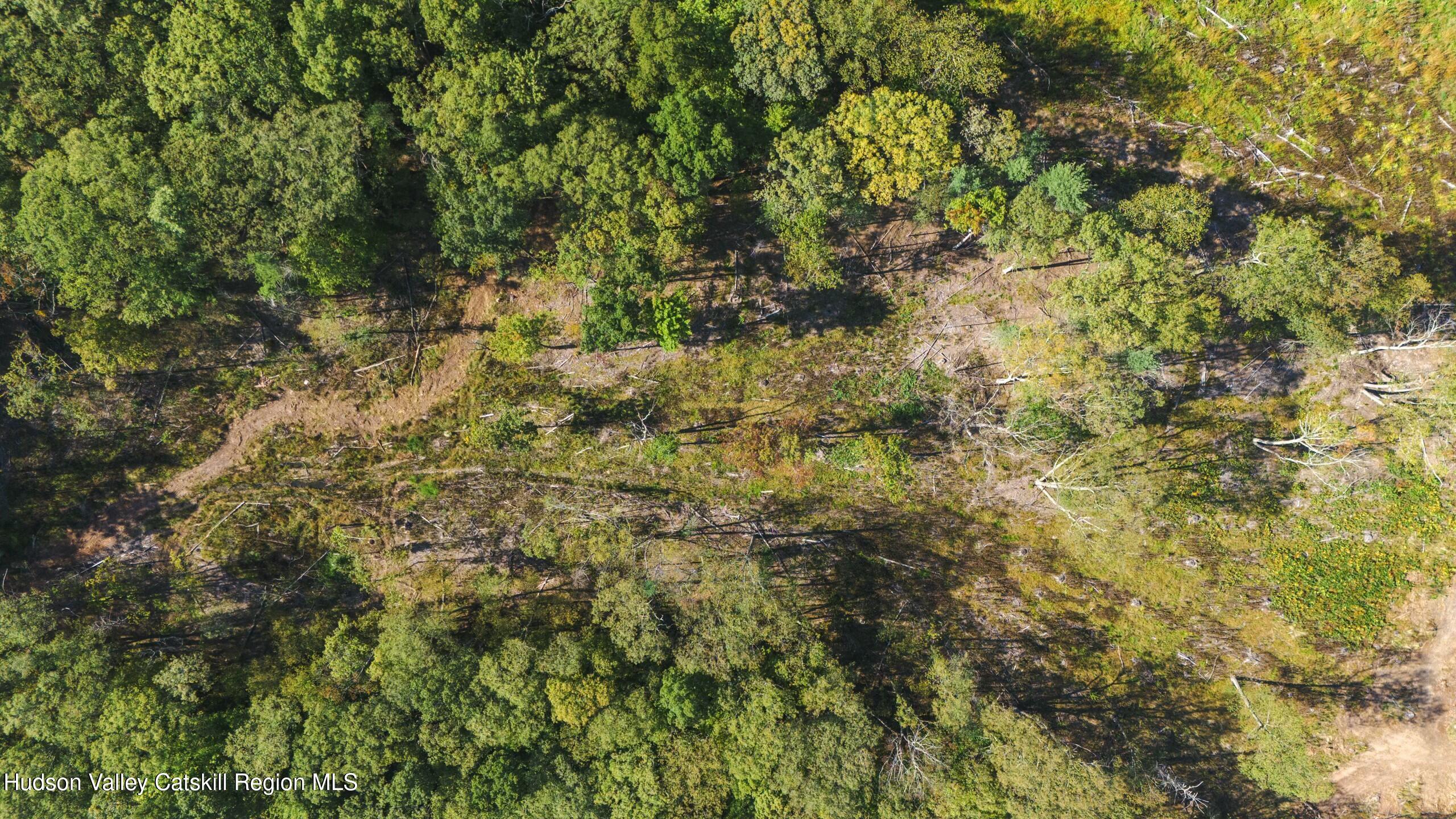 Cairo, New York 12413, United States, ,Land,Active,80061