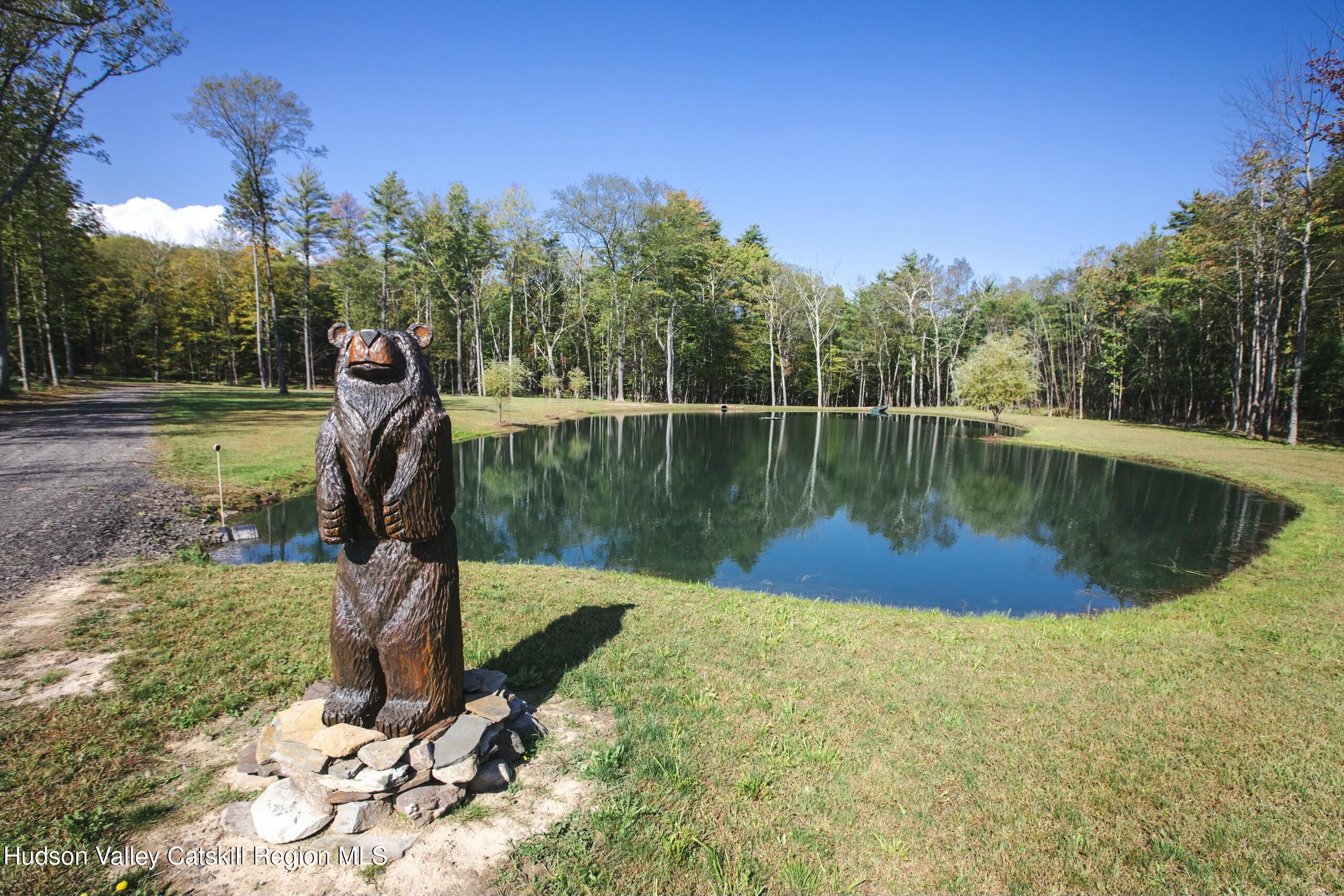 Cairo, New York 12413, United States, ,Land,Active,80061