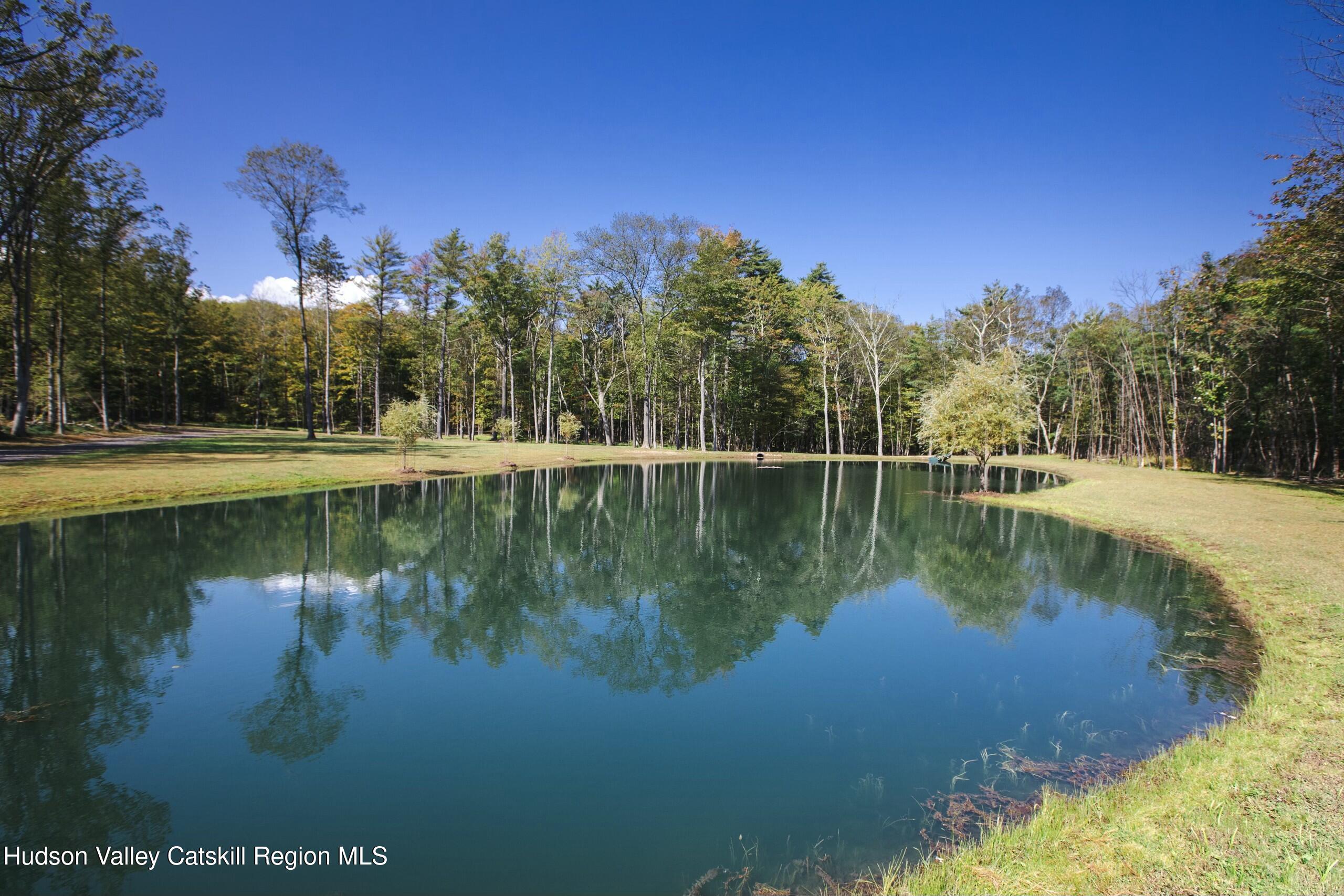Cairo, New York 12413, United States, ,Land,Active,80061