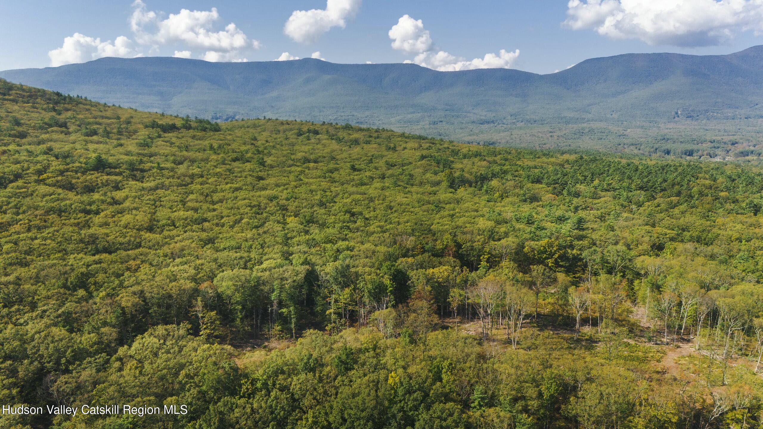Cairo, New York 12413, United States, ,Land,Active,80061