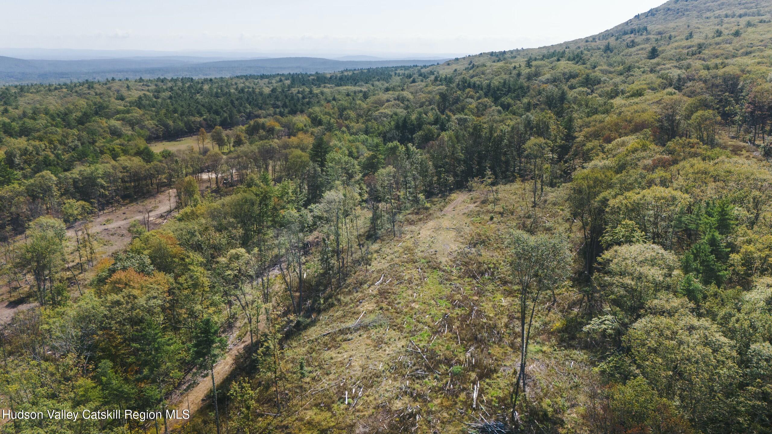 Cairo, New York 12413, United States, ,Land,Active,80061
