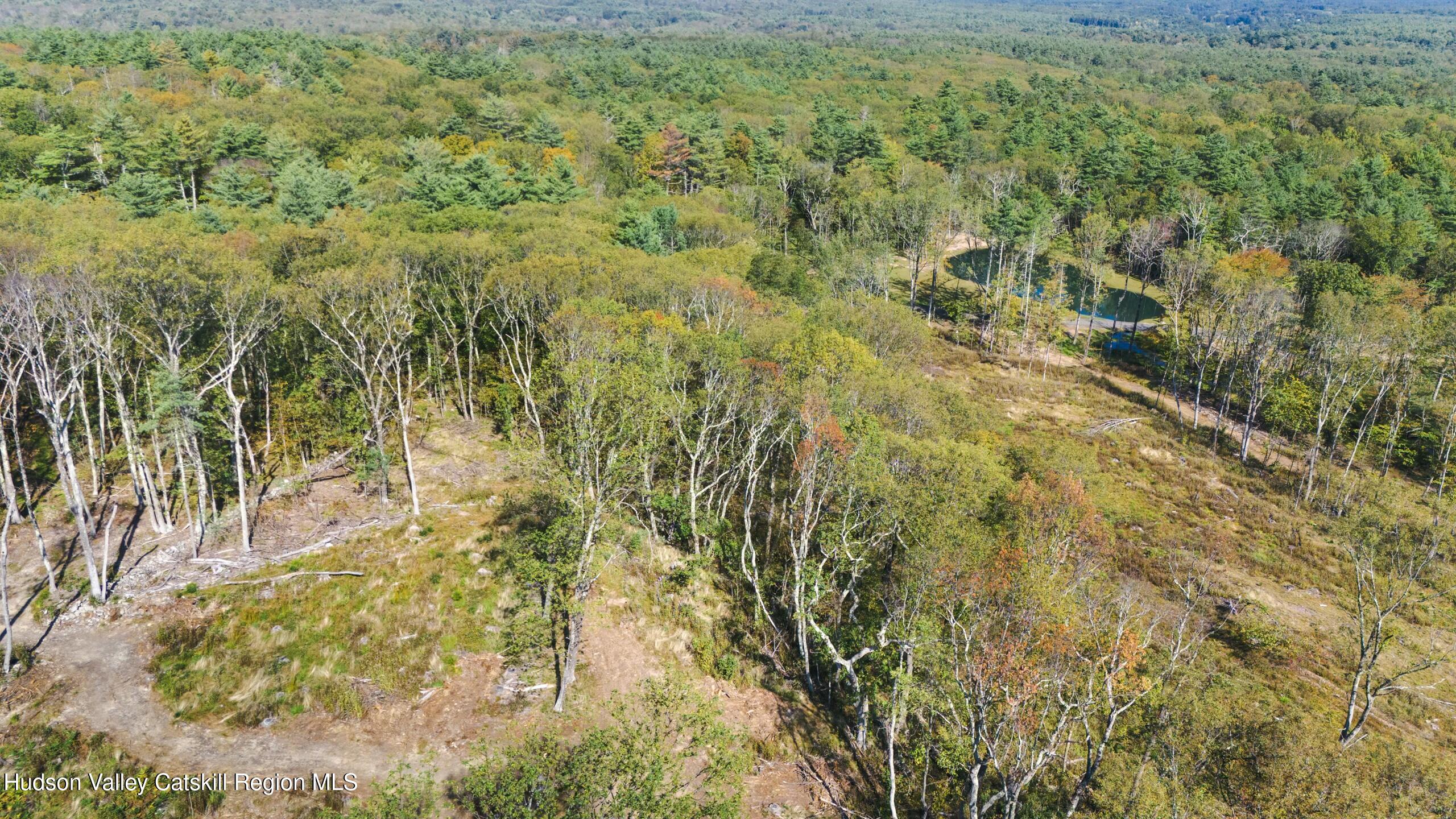 Cairo, New York 12413, United States, ,Land,Active,80061