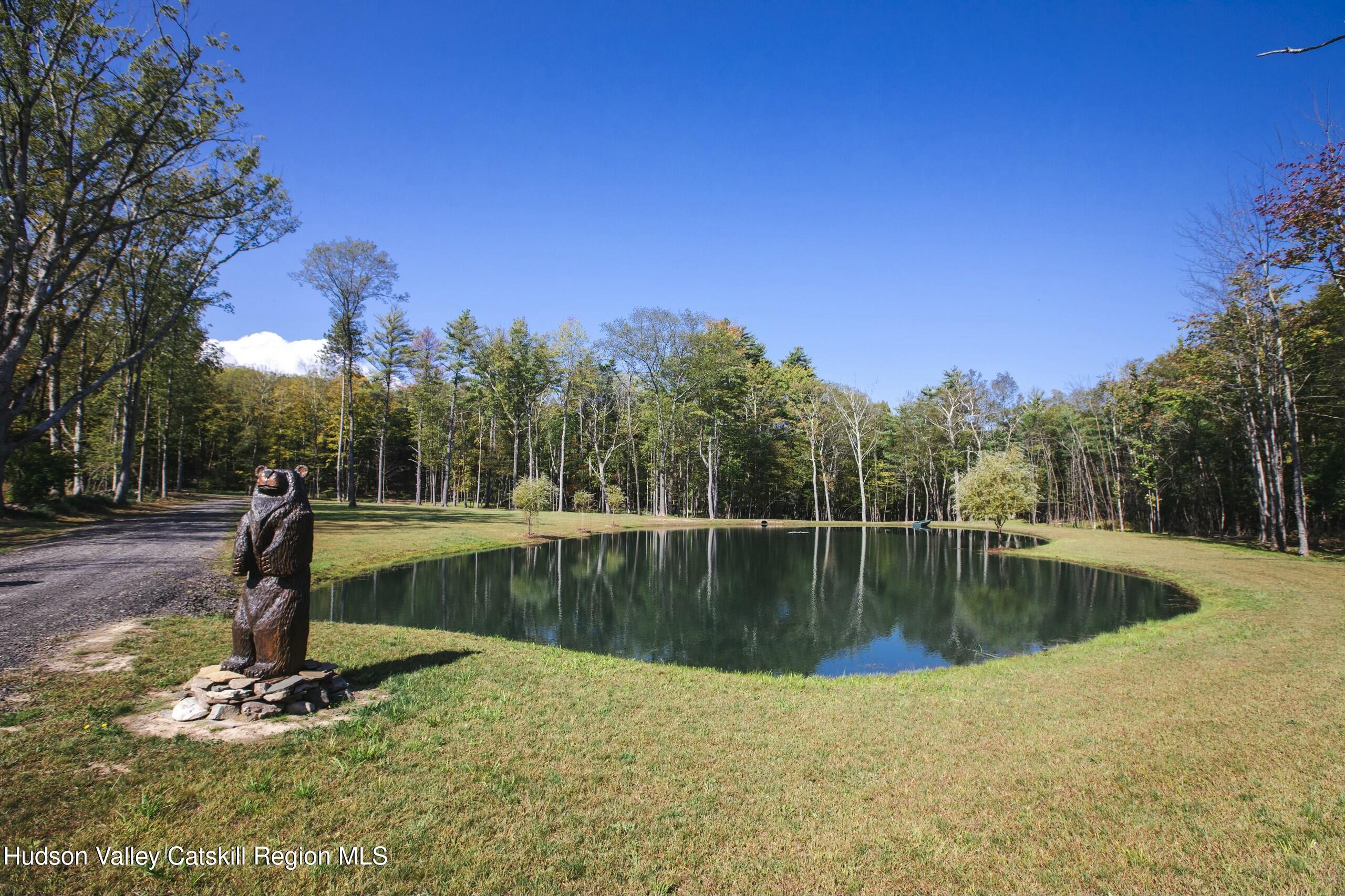 Cairo, New York 12413, United States, ,Land,Active,80061