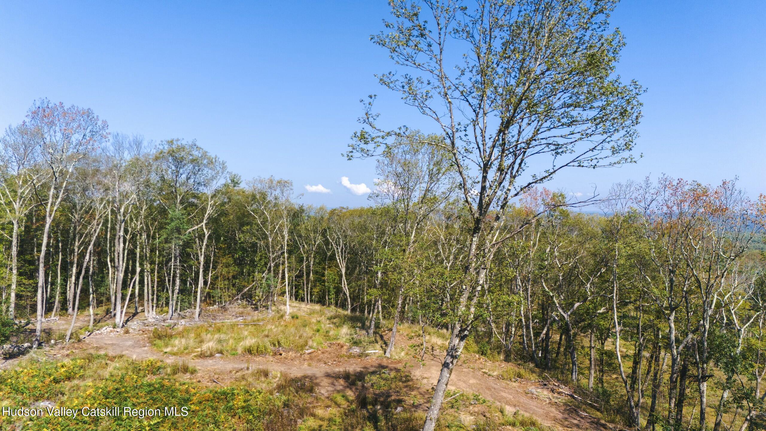 Cairo, New York 12413, United States, ,Land,Active,80061