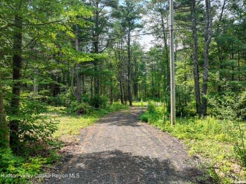 Vacant Land For Sale - Maple Ave Extension<br/> Westerlo, NY 12083