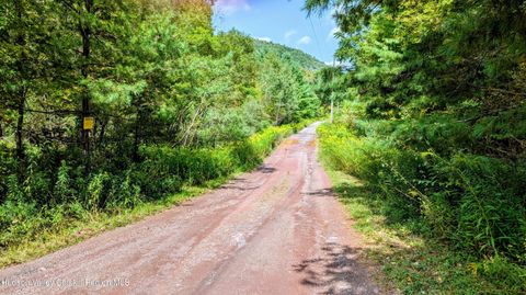 Vacant Land For Sale - 2 Cohen Road<br/> Prattsville, NY 12468
