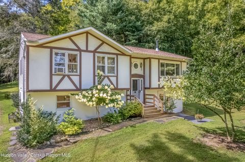 Photo of 145 Lamoree Rd Road, Rhinebeck, NY 12572 (MLS # 20254799)