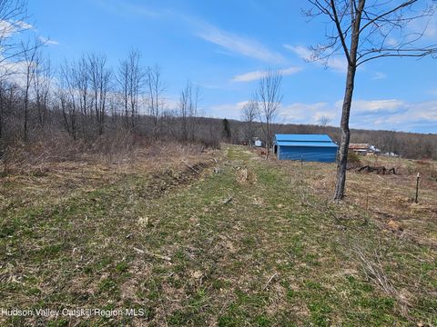 Vacant Land For Sale - 295 Shellstone Rd<br/> Amsterdam, NY 12010
