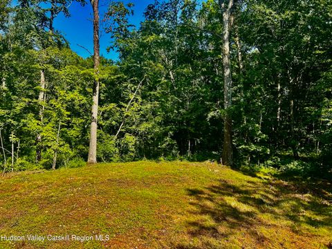 Vacant Land For Sale - 80 Forever Ivy Lane<br/> Hyde Park, NY 12538