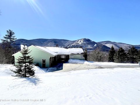 Photo of 234 Botti Drive, Hunter, NY 12442 (MLS # 20260842)